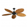 Coastal Air Ceiling Fan Oil Rubbed Bronze - 125 Arbor Blades Oak