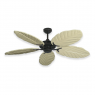 Coastal Air Ceiling Fan Oil Rubbed Bronze - 125 Arbor Blades Whitewashed