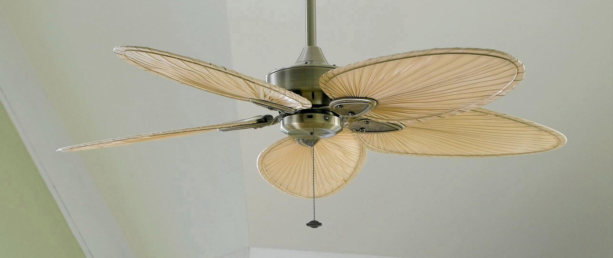 Fanimation Islander Ceiling Fan